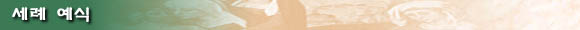5tbar-3.JPG (4437 bytes)